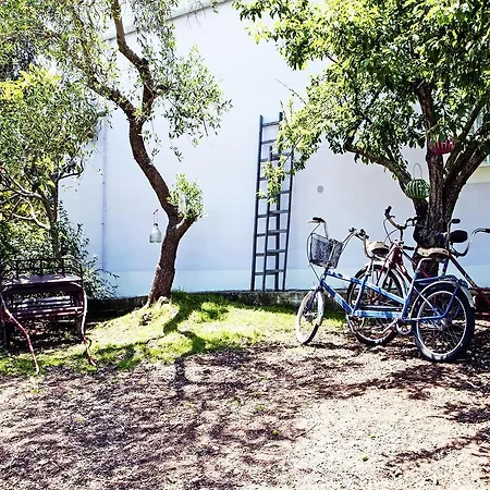 Bed & Breakfast Il Grillo Dalle Ali Turkesi